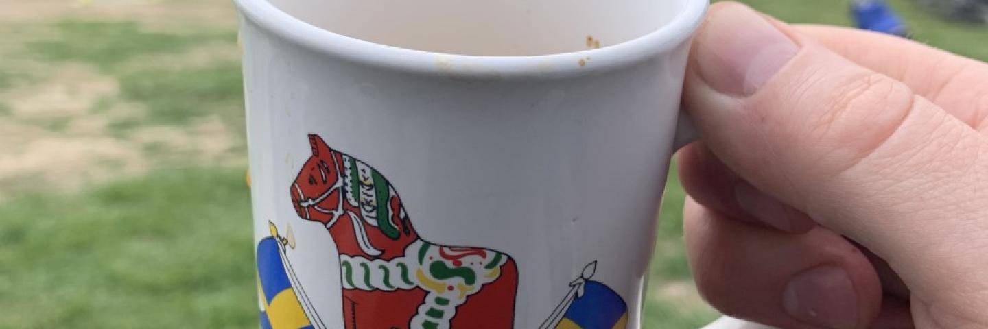 Du gamla, du fria