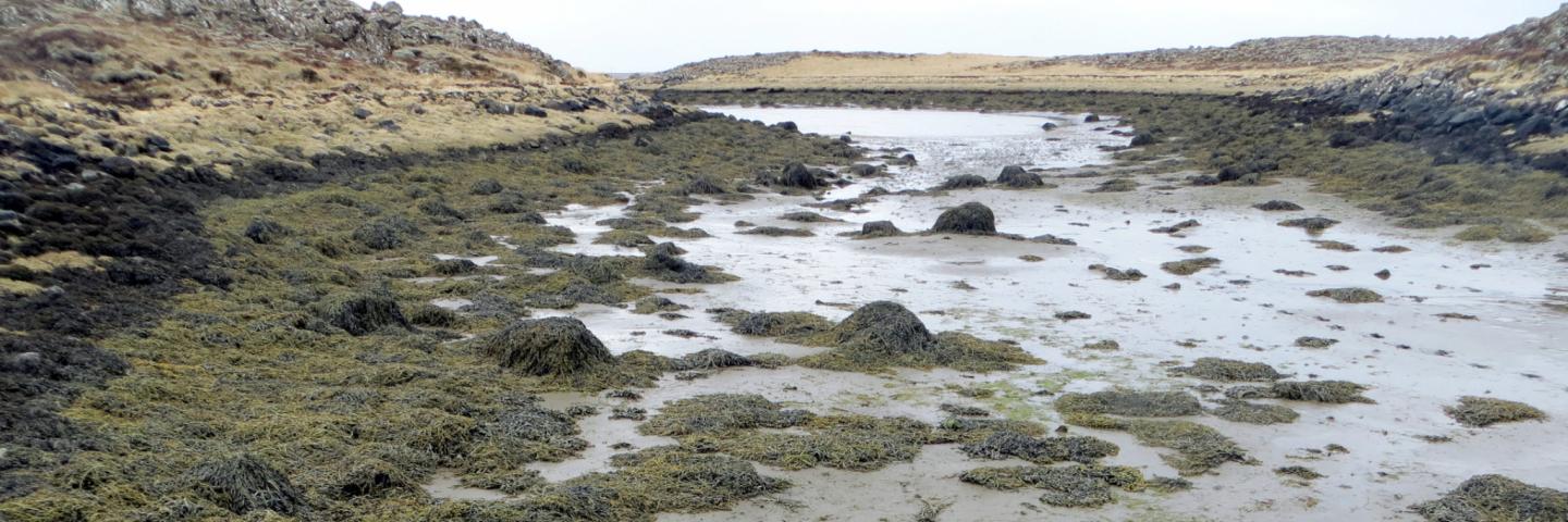Kalmannstjörn