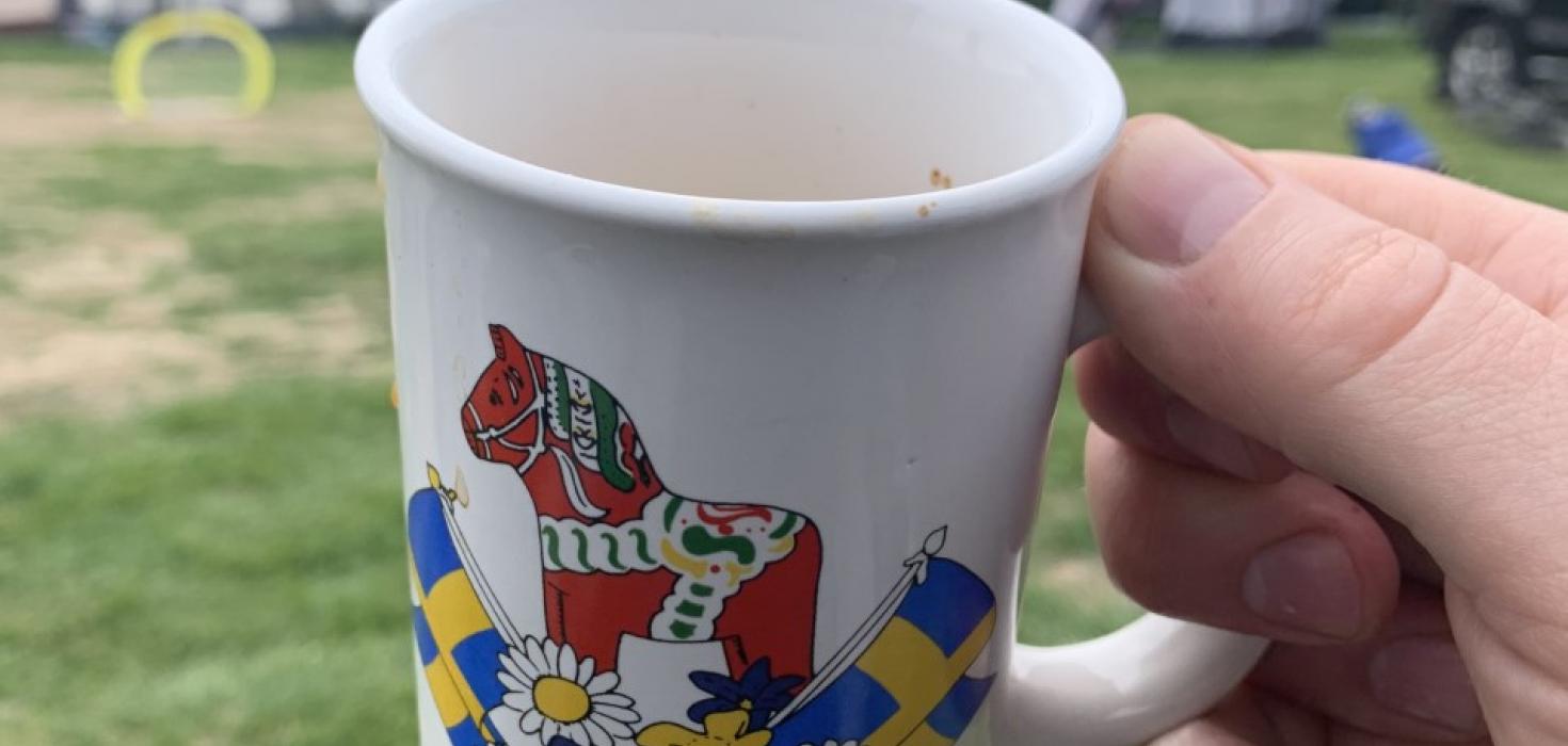 Du gamla, du fria