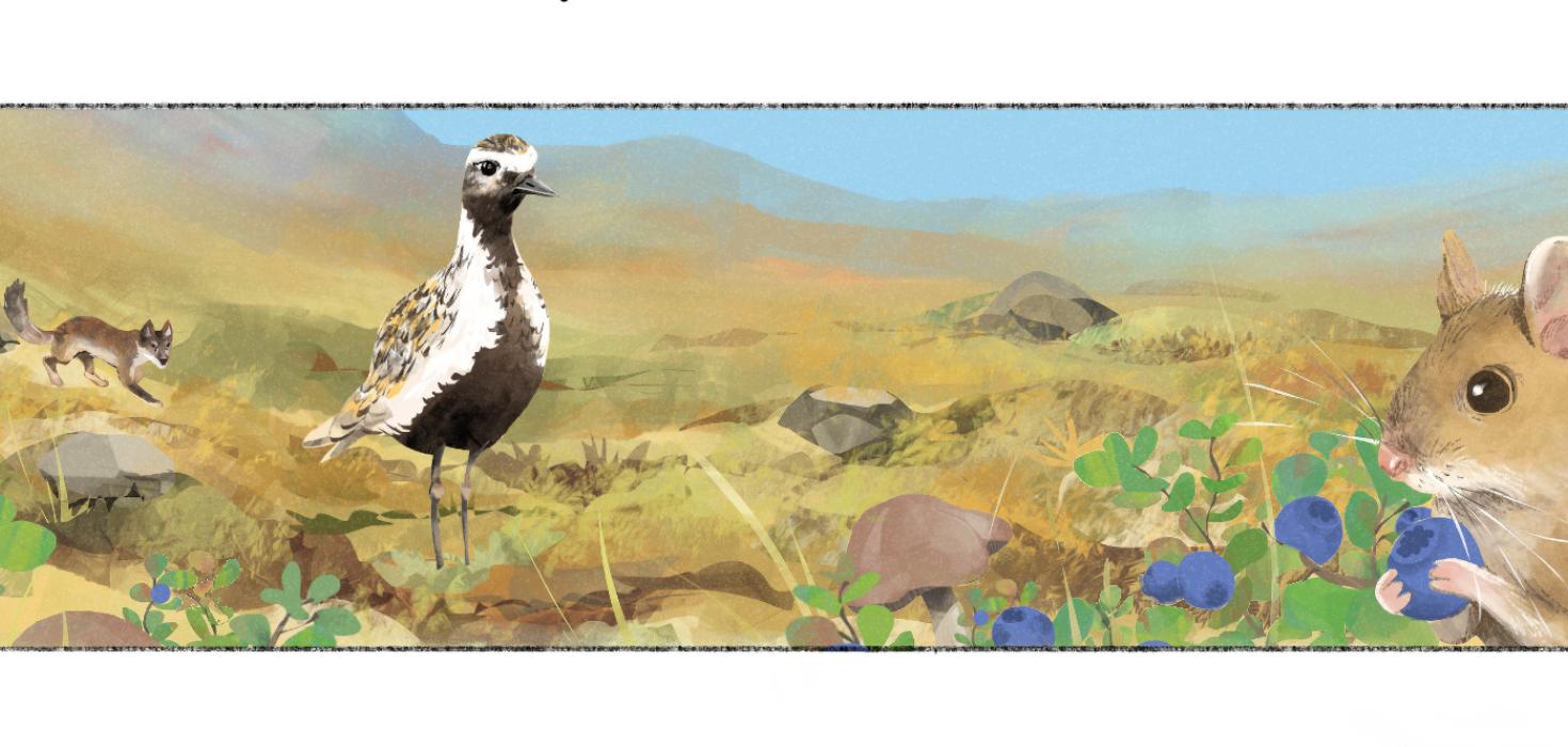 Fræðslumyndasaga um líffræðilega fjölbreytni