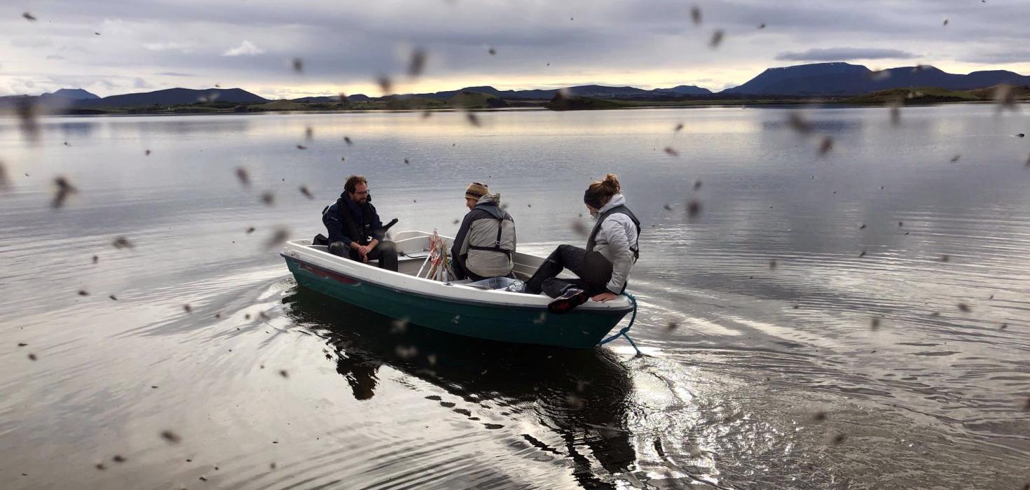 Doktorsnemar sigla út á Mývatn með súrefnissírita
