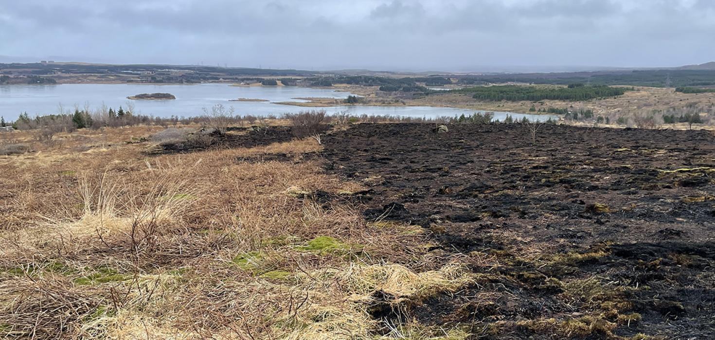 Sinubruni í Vatnsendahlíð 22. febrúar 2026. Mörk brunnins og óbrunnins land. Mynd tekin 24. febrúar 2026. 