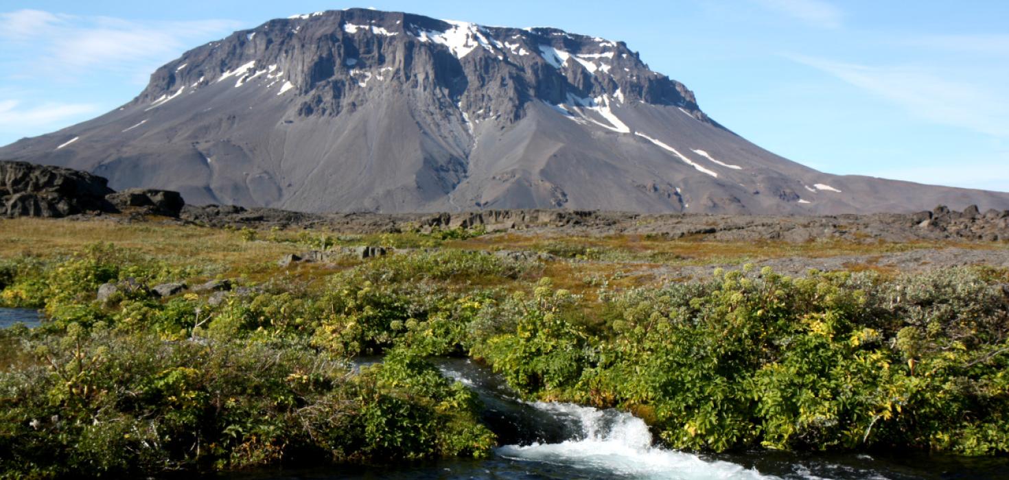 Herðubreið