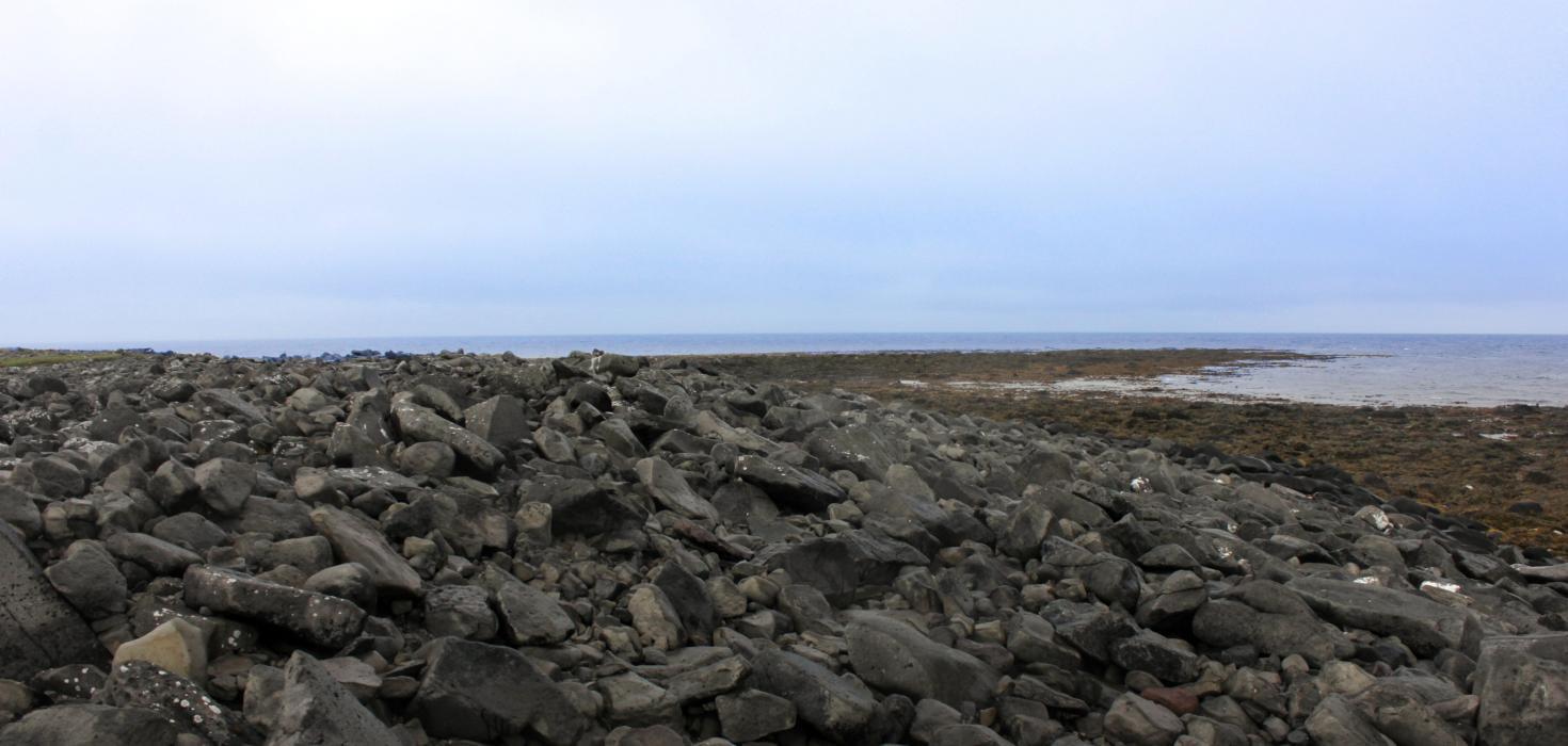 Rifstangi á Melrakkasléttu