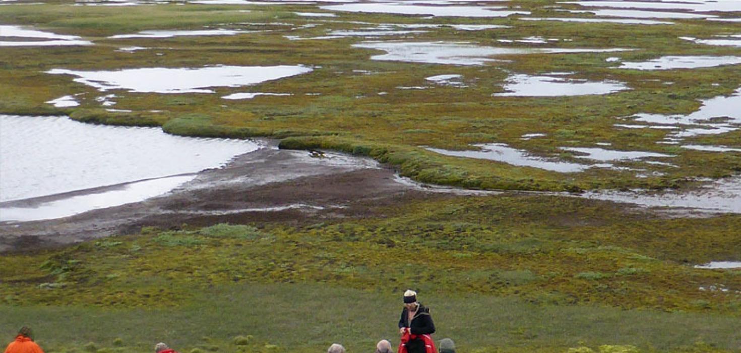 Oddkelsver, Þjórsárverum