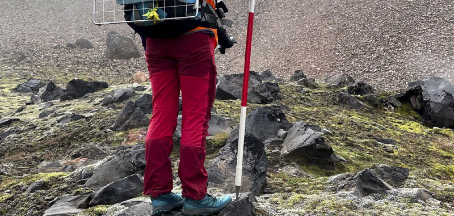 Olga Kolbrún Vilmundardóttir mælir út jarðhitavistgerð í Brennisteinsöldu.
