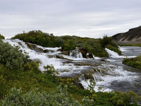 Fossabrekkur í Rangárbotnum er þar sem Ytri-Rangá kemur upp sem vatnsmikil lindá