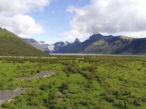 Frá Morsárdal í landi Skaftafells, Bæjarstaðarskógur á vinstri hönd. Birki og alaskalúpína breiðist um aura.
