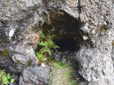 Trjáhola í berginu við Eyvindafjarðará á Ströndum