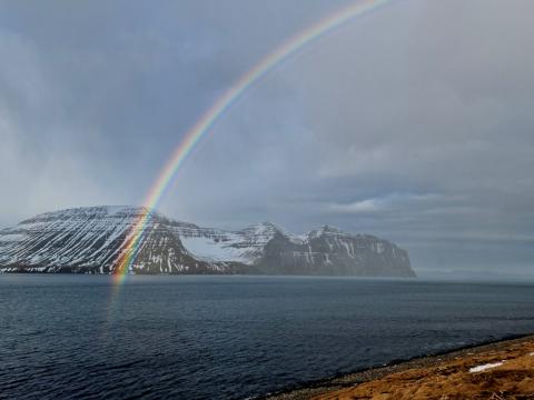 Regnbogi yfir Hælavíkurbjargi myndaðist þegar rigndi seinnipartinn í Hornvík.