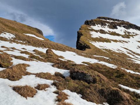 Harðviðrisgjá í Innstadal. Á brúninni sjást tveir refir eins og litlir punktar í fjarska. Þeir voru greinilega í tilhugalífinu og gætu sest að á svæðinu í sumar.