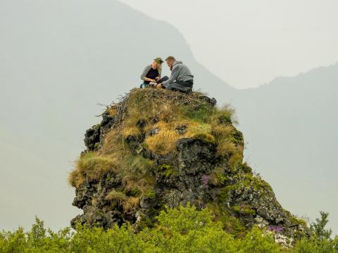 Unnið að arnarmerkingum sumarið 2025