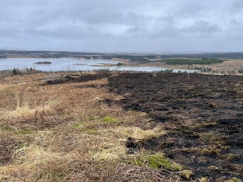Sinubruni í Vatnsendahlíð 22. febrúar 2026. Mörk brunnins og óbrunnins land. Mynd tekin 24. febrúar 2026. 