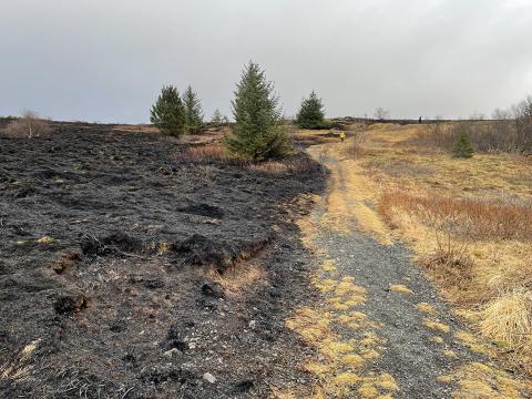 Sinubruni í Vatnsendahlíð 22. febrúar 2026. Göngustígur ofan við Guðmundarlund þar sem eldurinn stöðvaðist. Mynd tekin 24. febrúar 2026. 