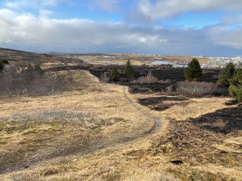 Sinubruni í Vatnsendahlíð 22. febrúar 2026. Ofan við Guðmundarlund, en trjálundurinn slapp að mestu við brunann. Mynd tekin 24. febrúar 2026. 