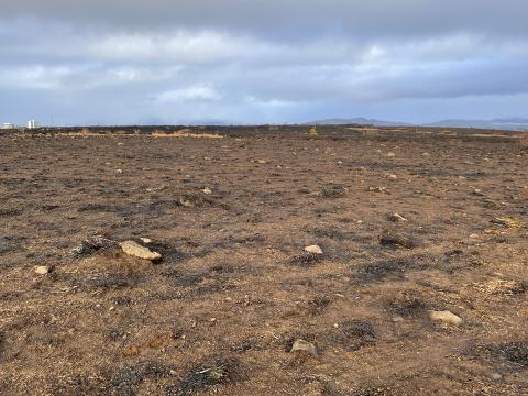 Sinubruni í Vatnsendahlíð 22. febrúar 2026. Svæðið var mikið brunnið og lítið um óbrunna bletti. Mynd tekin 24. febrúar 2026. 