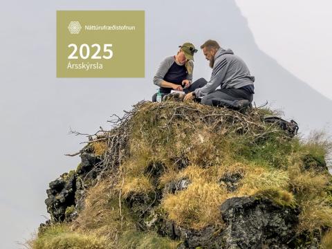 Forsíða ársskýrslu Náttúrufræðistofnunar 2025. Ljósmyndin er eftir Þorfinn Sigurgeirsson og var tekin við arnarmerkingar sumarið 2025.