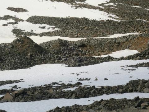 Mynd frá Nautárdalsjökli, nærmynd af sigdældum og hólum með ískjarna.