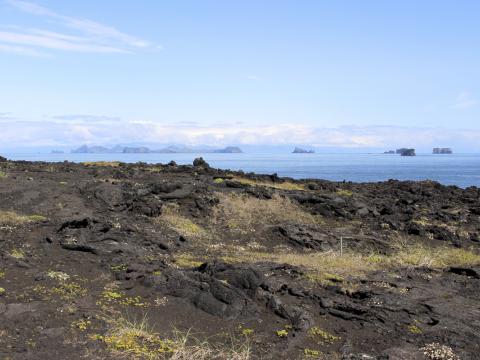 Horft frá Surtsey yfir Vestmannaeyjar