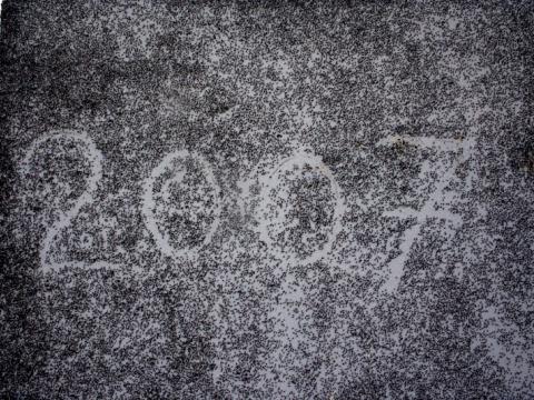 Mynd sem sýnir mýflugur á vegg. Ártalið 2007 er skrifað á vegginn.