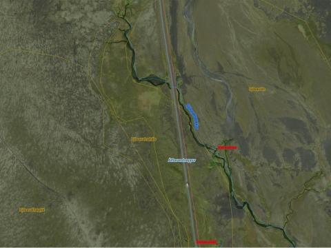 Skjáskot úr Örnefnagrunni Náttúrufræðistofnunar, sem sýnir örnefni númer 200.000, Ljósavatnalækur
