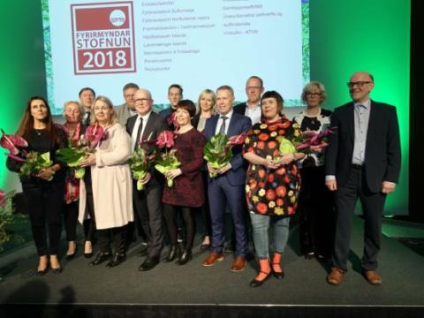  Fulltrúar fyrirmyndarstofnana 2018.