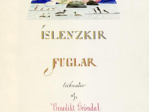 Íslenskir fuglar eftir Benedikt Gröndal