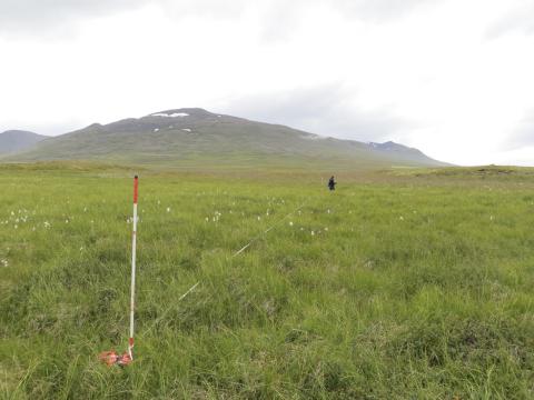 Mælireitur í grösugum haga í góðu ástandi í Skagafirði