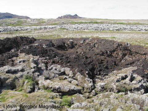 Mosaþemban á hrauninu er illa farin eftir eldinn og víða brunnin niður í grjót.
