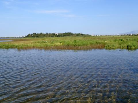 Elliðavatn