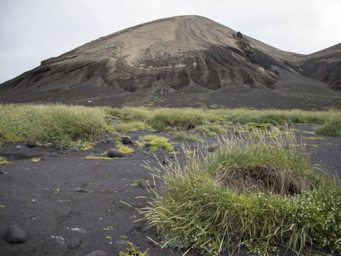 Surtsey í júlí 2020