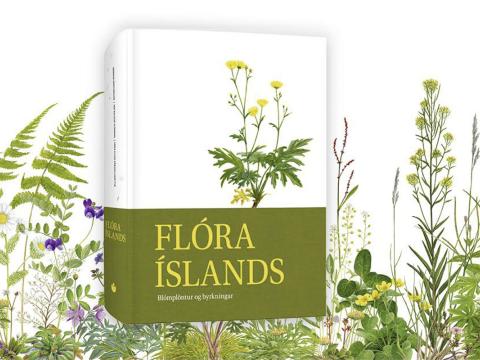 Flóra Íslands