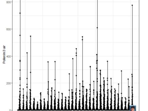 Styrkur frjókorna í lofti í Reykjavík/Garðabæ 1988–2020