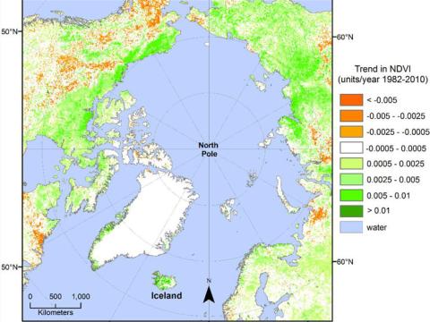 Leitni í árlegum, hámarks gróðurstuðli fyrir landsvæði á norðurslóðum 1982–2010