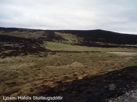 Sinubruni að Fossi í Hrútafirði maí 2014