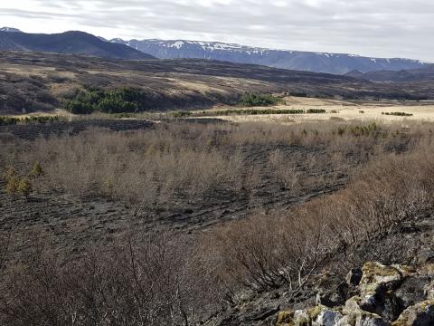 Gróðurskemmdir í Heiðmörk eftir bruna 4. maí 2021