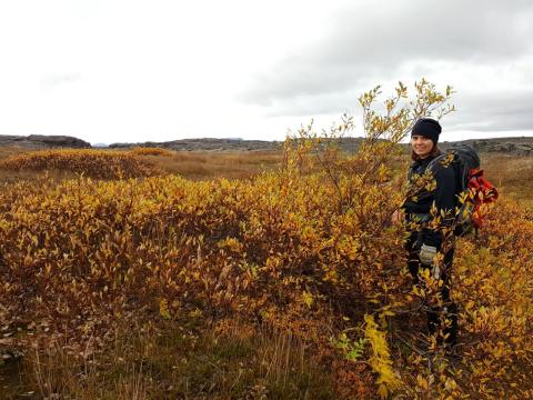 Í Kreppulindum