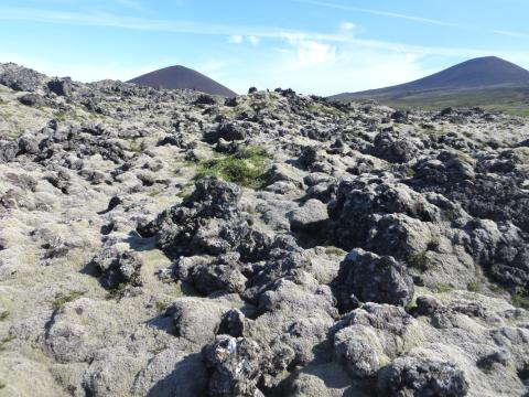 Mosahraunavist á Snæfellsnesi
