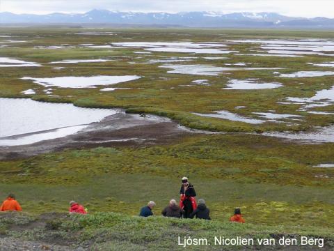 Oddkelsver, Þjórsárverum