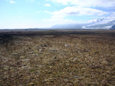 Grösug, mosavaxin jökulurð við Breiðamerkurjökul