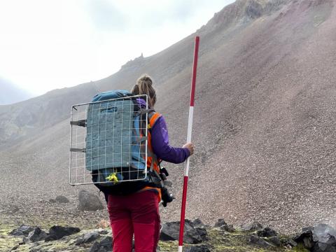 Olga Kolbrún Vilmundardóttir mælir út jarðhitavistgerð í Brennisteinsöldu.