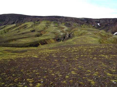 Hélumosagróður við Hólmsárlón