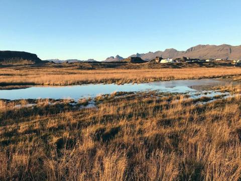 Bláin norðan Borgargarðsvatns við Djúpavog