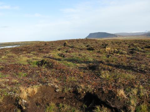 Sinubruni á Skarðsströnd