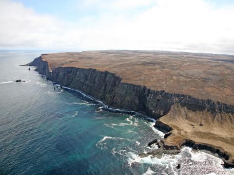 Viðvíkurbjörg