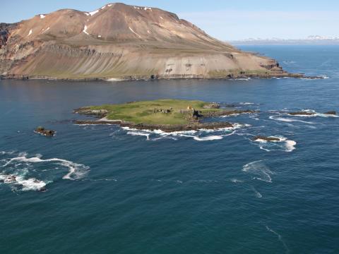 Bjarnarey á Héraðsflóa