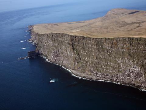 Látrabjarg