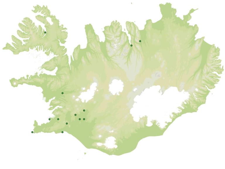 Útbreiðsla - Flóajurt (Persicaria maculosa)