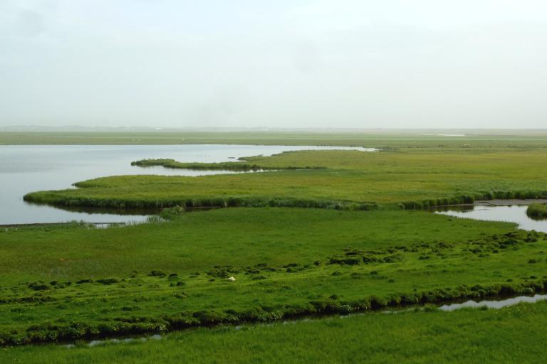 Lambhagavatn