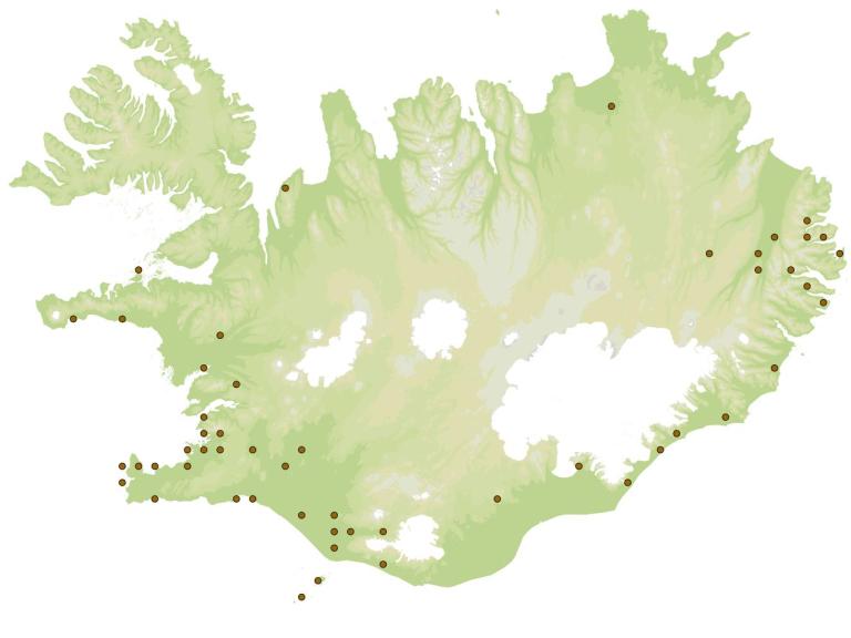Skrautygla (Phlogophora meticulosa) - fundarstaðir samkvæmt eintökum í safni Náttúrufræðistofnunar Íslands